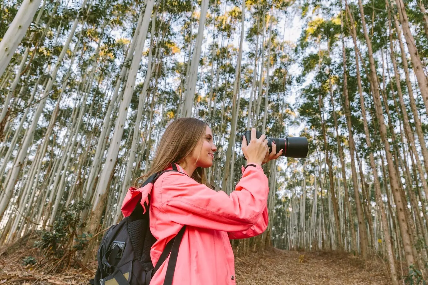 Seitenansicht einer jungen Frau beim Fotografieren im Wald.